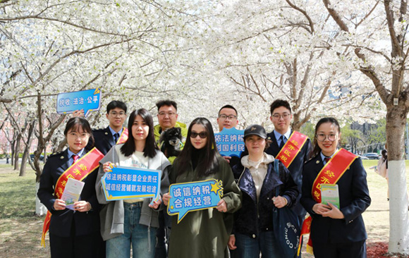 天津经开区税务局：樱花树下话税事　春风送暖润民心