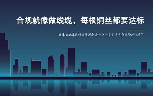  “合规就像做线缆，每根铜丝都要达标”