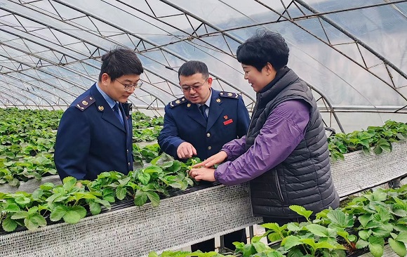 合规引导 激活农业发展向新活力