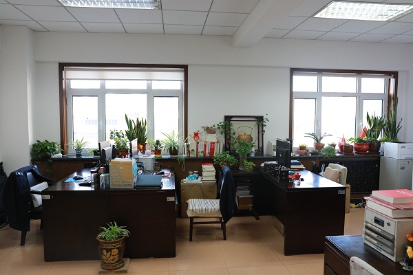 1月29日下午,区局领导带领办公室,纪检组,纳税服务科有关同志,对各