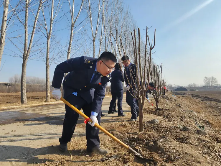 天津市税务系统开展植树节系列活动